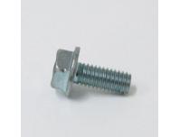 Image of Generator pulser coil retaining bolt