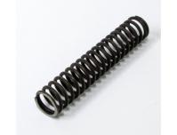 Image of Cam chain tensioner spring