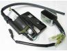 Image of Ignition coil and CDI set