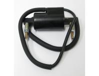 Image of Ignition coil complete with leads