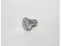 Image of Head light holder screw