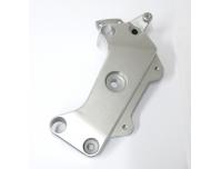 Image of Swing arm pivot protector plate, Left hand