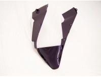 Image of Fairing lower front V piece in Black, Colour code NH-418P
