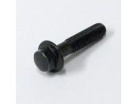 Image of Generator pulser cover fixing bolt