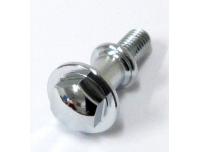 Image of Tappet inspection cover retaining bolt