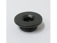 Image of Crankcase sealing bolt 22mm