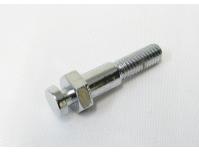 Image of Brake lever pivot bolt