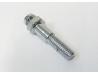 Image of Brake lever pivot bolt for front brake lever