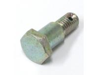 Image of Brake torque arm front mounting bolt