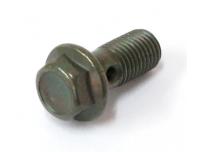 Image of Brake hose oil bolt, Rear