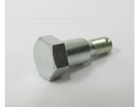 Image of Mainstand pivot bolt