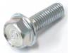 Tappet cover screw