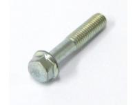 Image of Generator cover screw