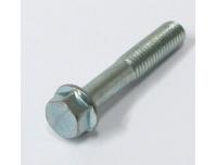 Image of Generator cover retaining bolt