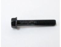 Image of Generator cover retaining bolt